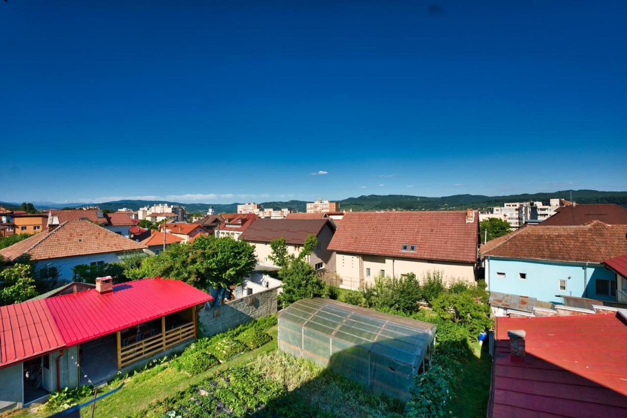 Râmnicu Vâlcea Vila Victoria מראה חיצוני תמונה