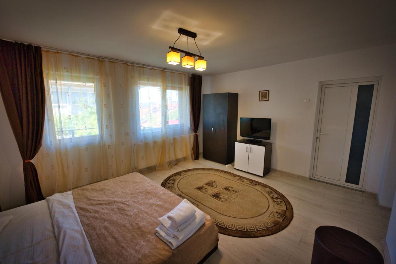 Râmnicu Vâlcea Vila Victoria מראה חיצוני תמונה