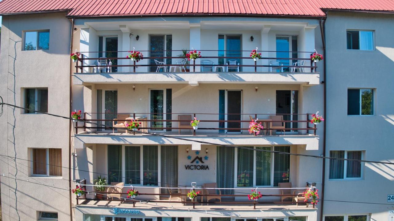 Râmnicu Vâlcea Vila Victoria מראה חיצוני תמונה