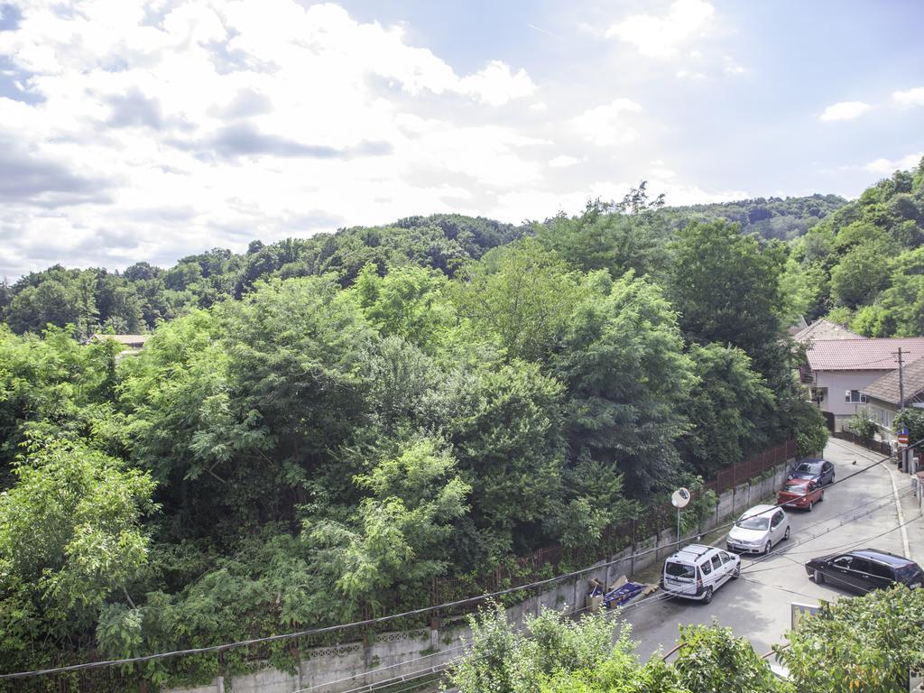 Râmnicu Vâlcea Vila Victoria מראה חיצוני תמונה